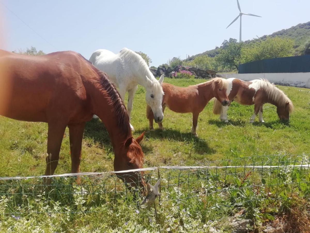 Casinha De Campo- Quintinha Dos Cavalos- Arruda Dos Vinhos Exterior foto