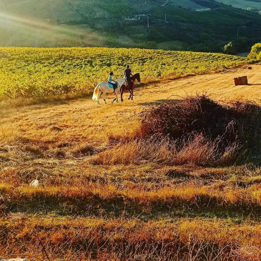 Casinha De Campo- Quintinha Dos Cavalos- Arruda Dos Vinhos Exterior foto